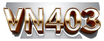 vn403 logo